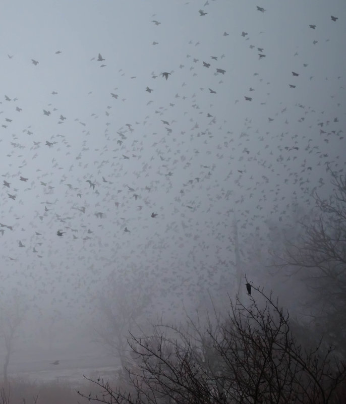 ребята, вы куда? - Анна Губенко