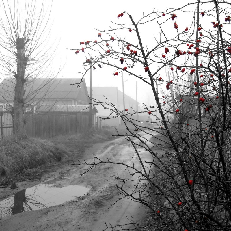 по тихим улицам - Anka Pulemetchizza