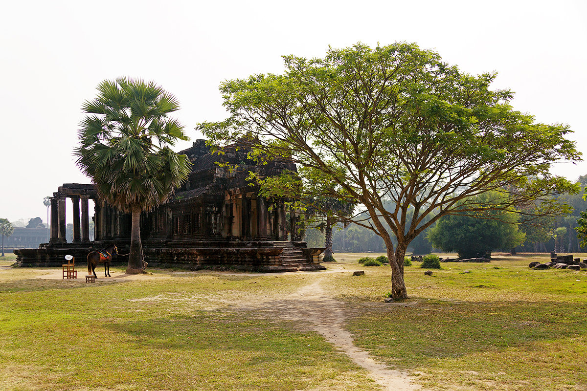 Анкор - Денис Брыков