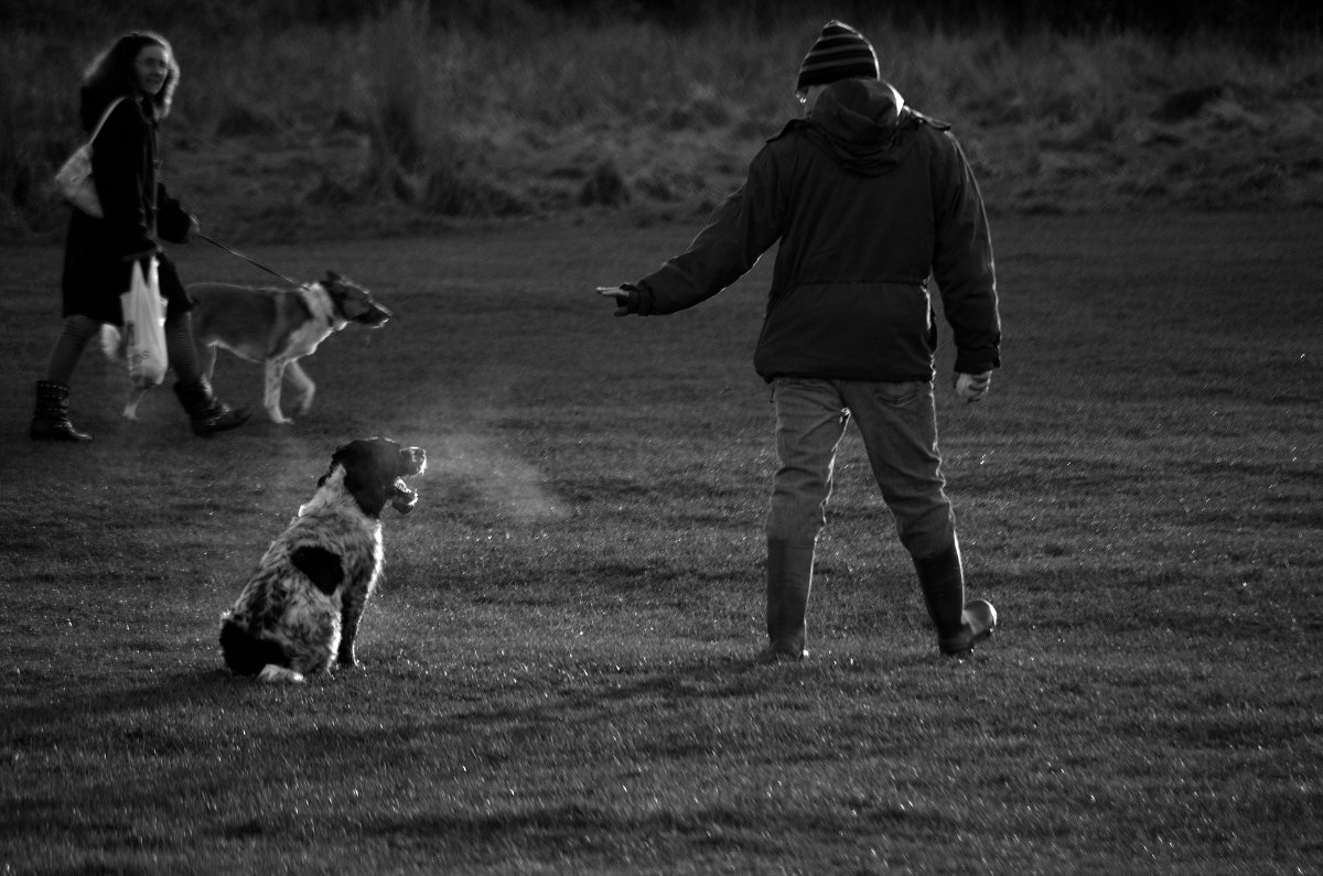 ... - Aleksandr Papkov