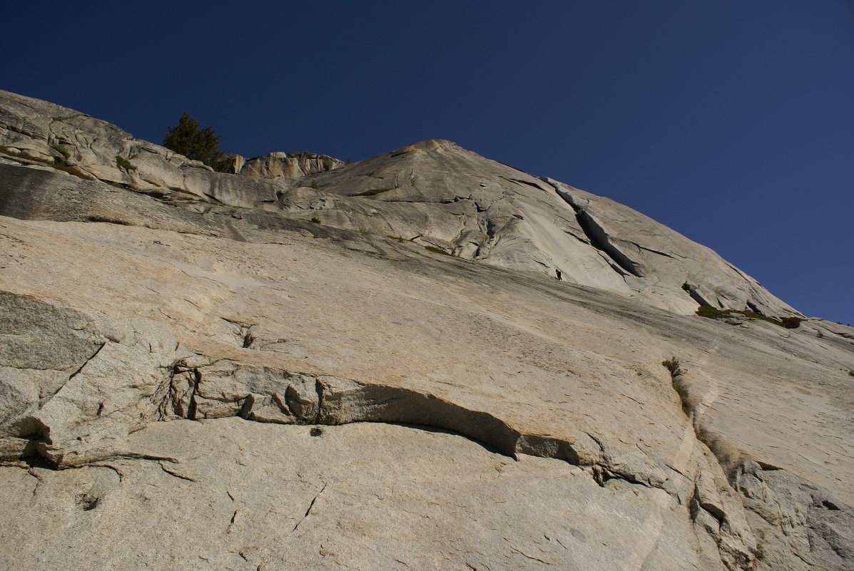 кто кого - alexandr 