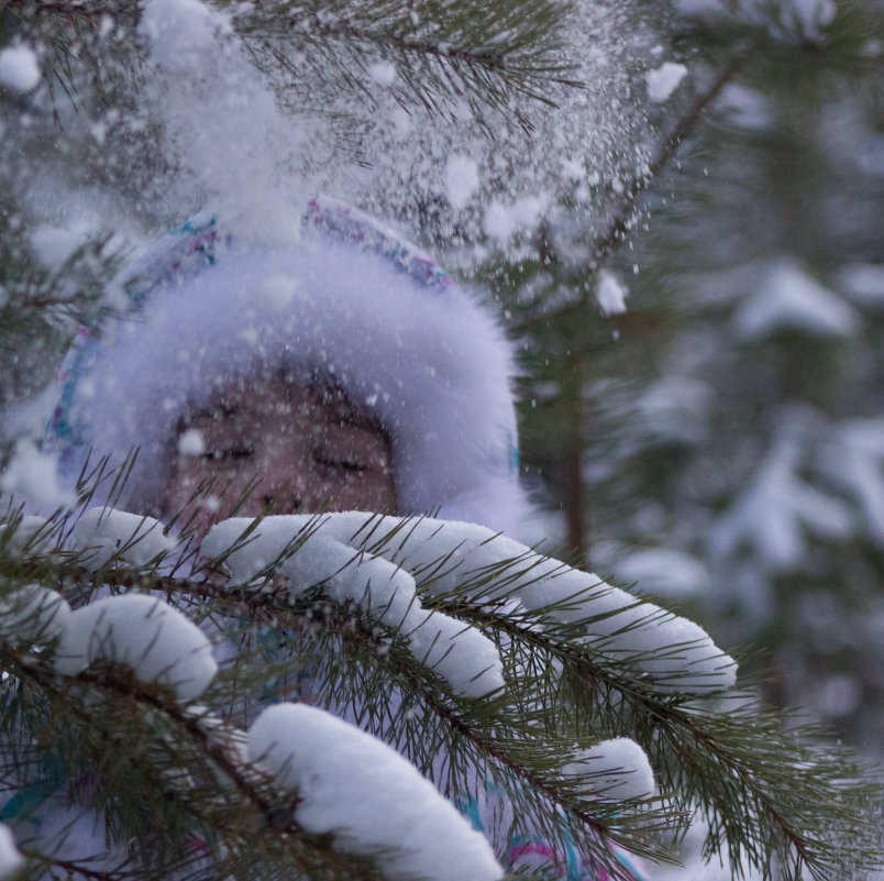 в лесу - Мария Сабирова