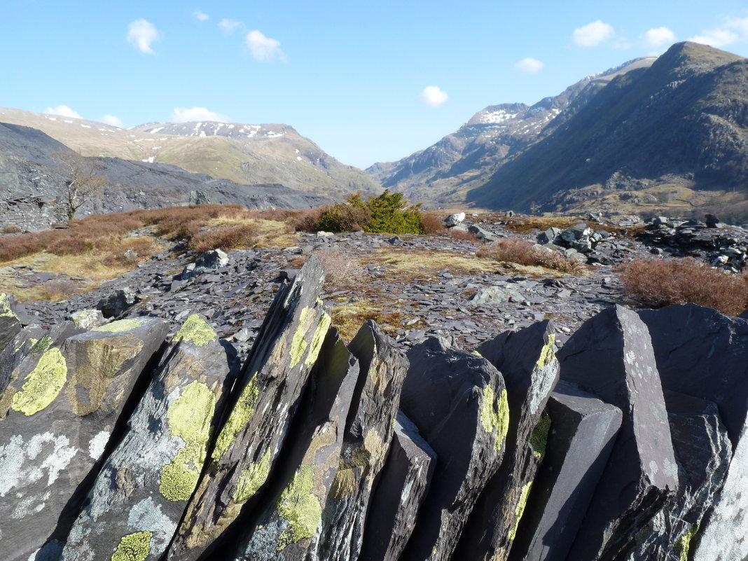 сноудония - Natallia 