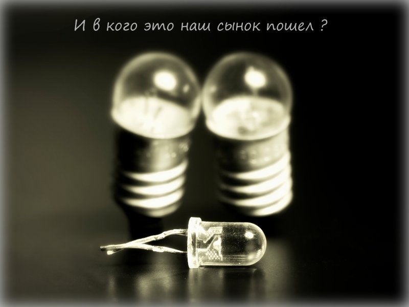 Новое поколение :: Денис Антонов