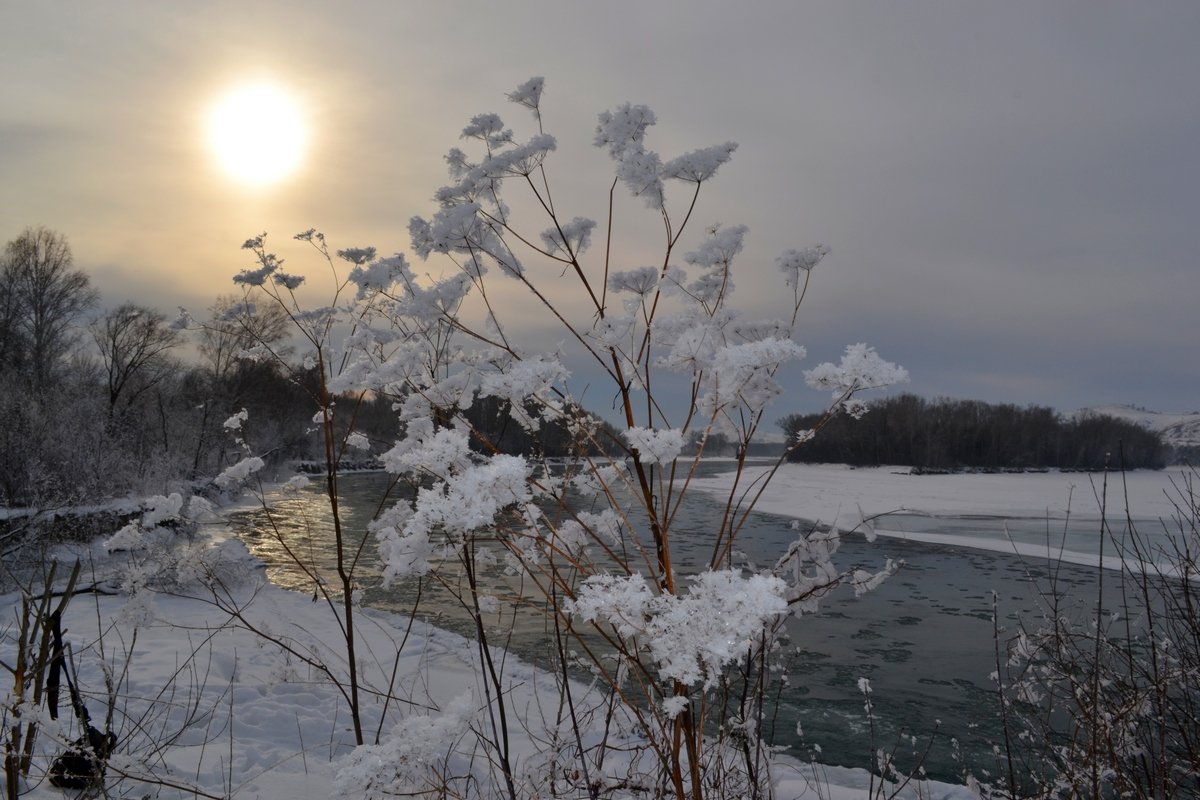 Новогодняя история - Tatiana Lesnykh Лесных