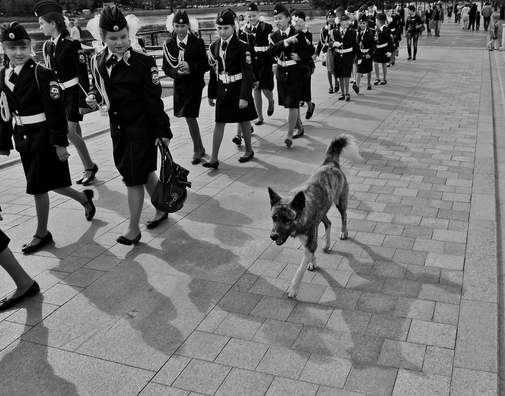 тяга к знаниям - Евгений (bugay) Суетинов