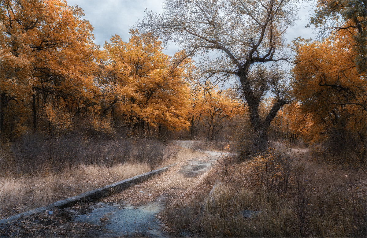 БЫЛОЕ......... - Алексей Фотограф Михайловка БЫЛОЕ......... - Алексей Фотограф Михайловка