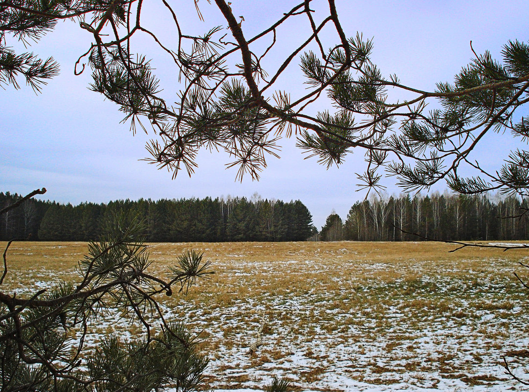 предзимье - Яна Магик