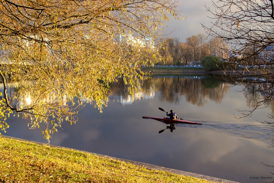 ... - Елена Маковоз ... - Елена Маковоз