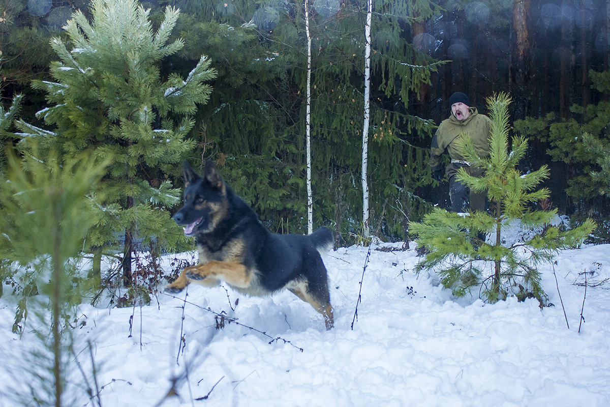 На охоте. - Владимир Мальцев