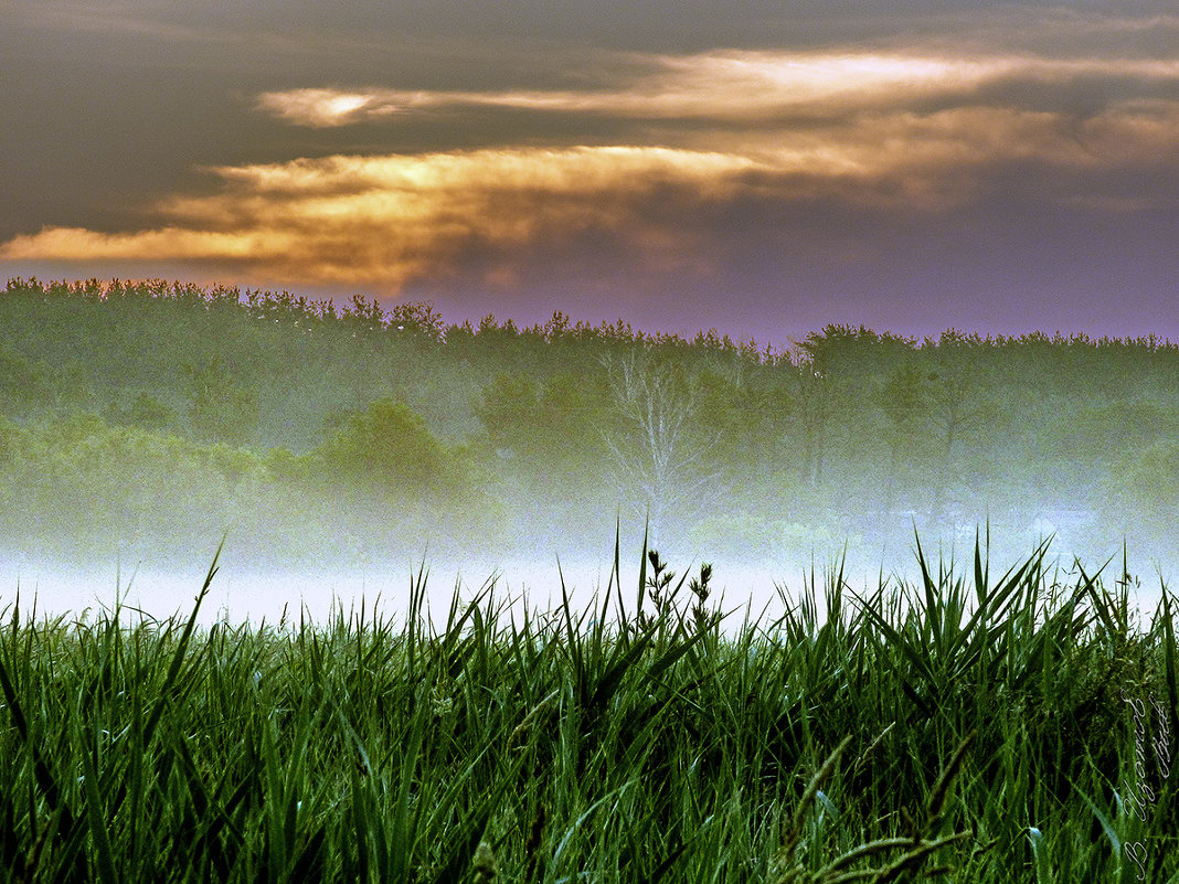 Туманный рассвет. - Валерий Изотов Туманный рассвет. - Валерий Изотов