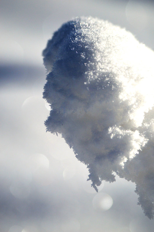 Природа создает портреты - Александр Ефремов Природа создает портреты - Александр Ефремов