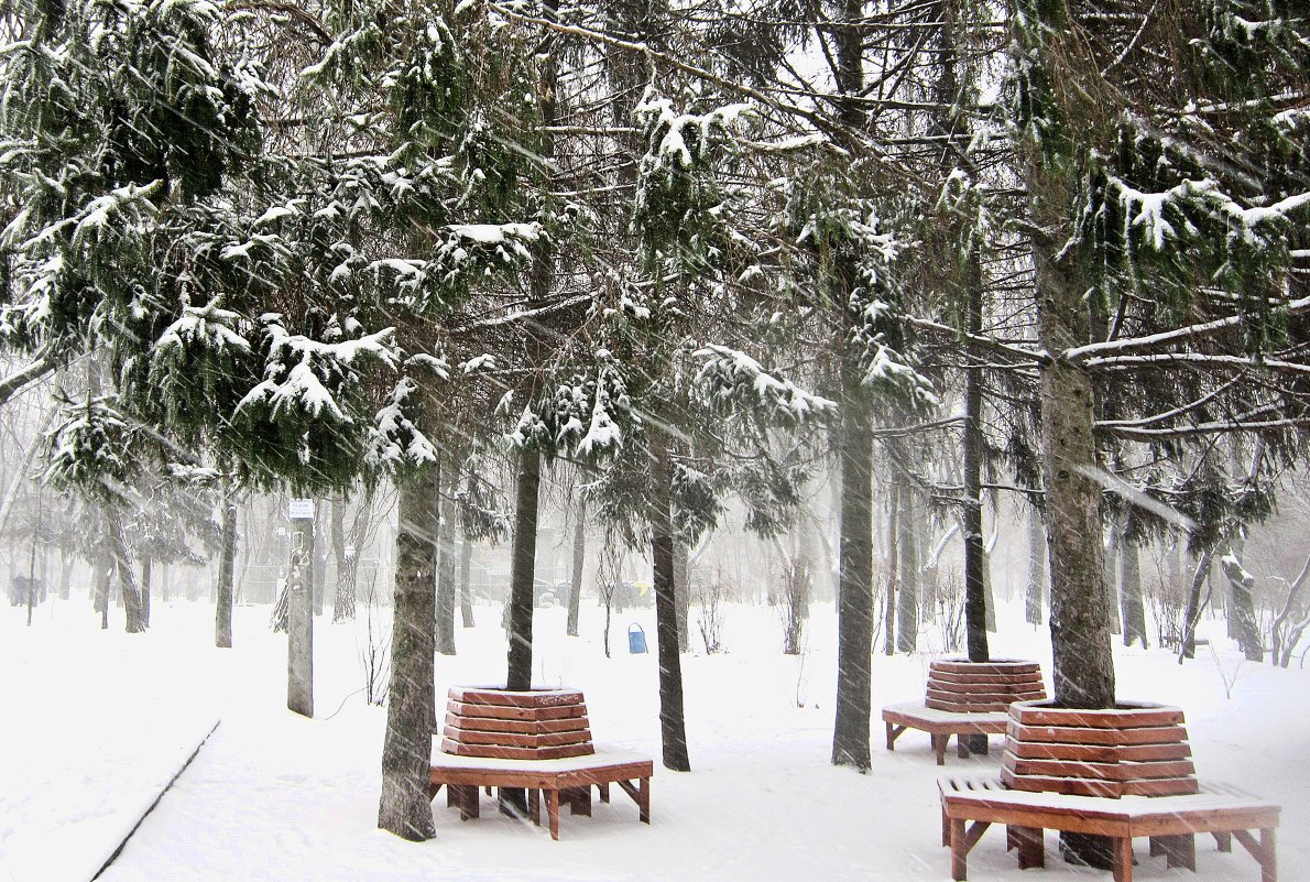 Метель - Людмила 