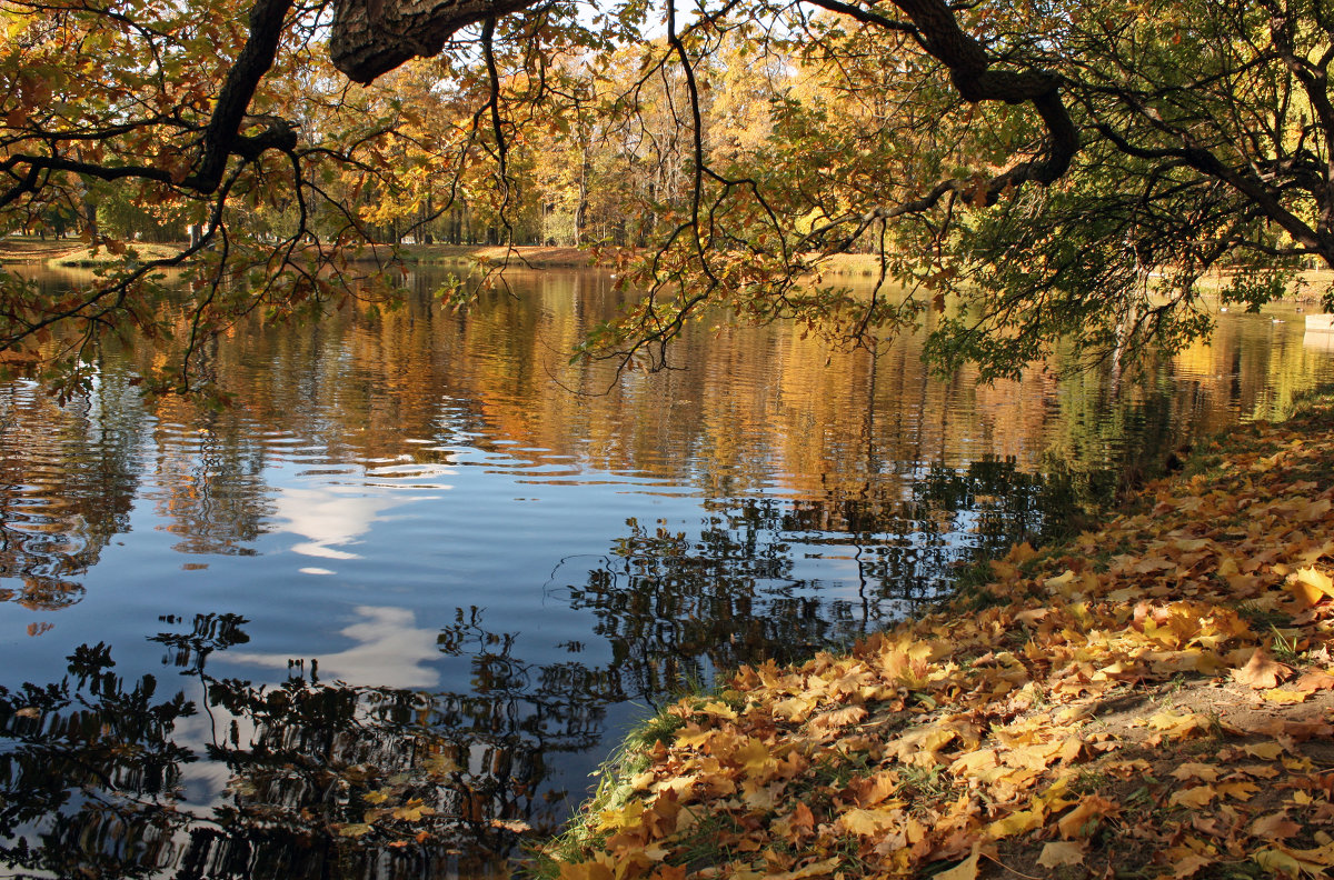 Осень - Ирина Румянцева