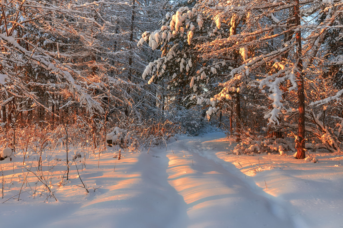 *** - олег *** - олег