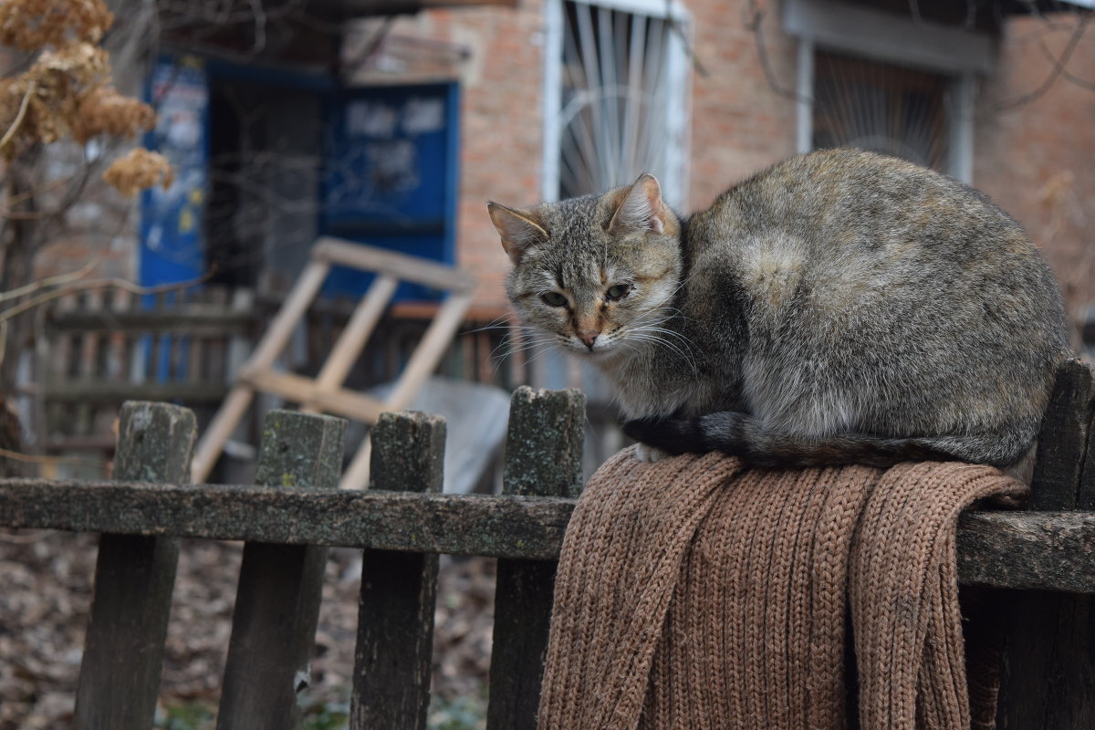 Не впускают! - Алла 