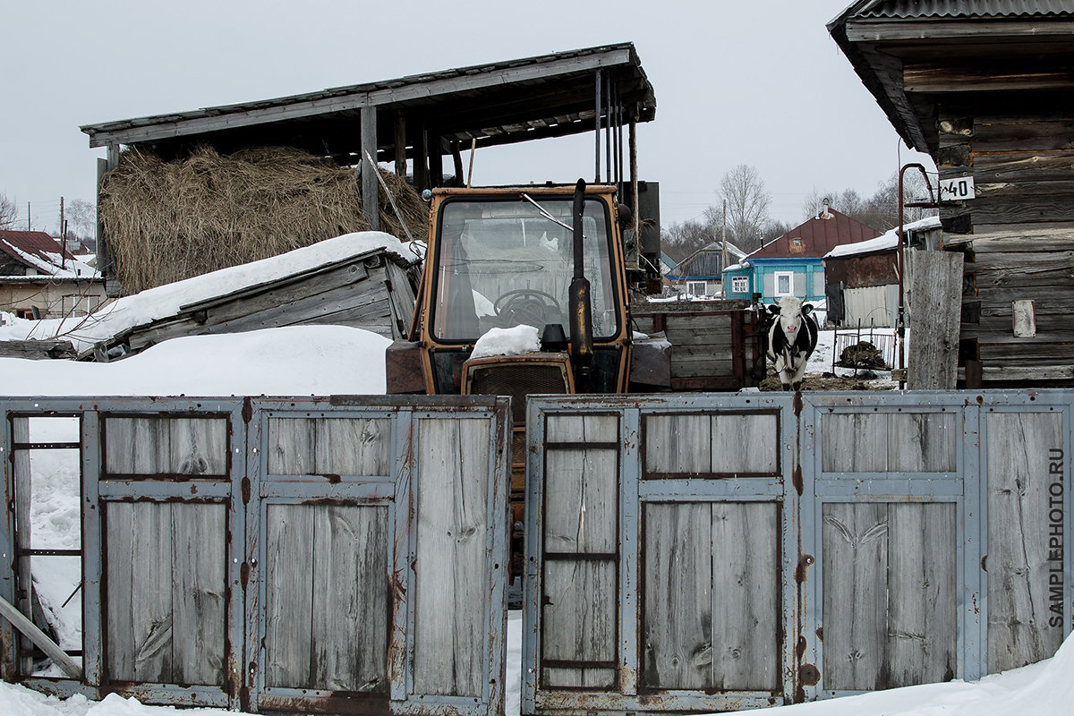 Деревенская жизнь - samplephoto _