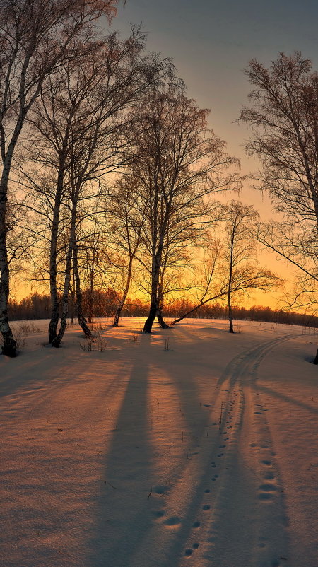 ... - Николай Мальцев ... - Николай Мальцев