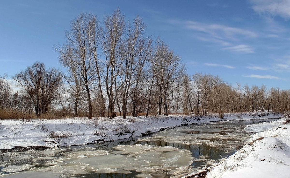 Весна - Dr. Olver ( ОлегЪ ) Весна - Dr. Olver ( ОлегЪ )