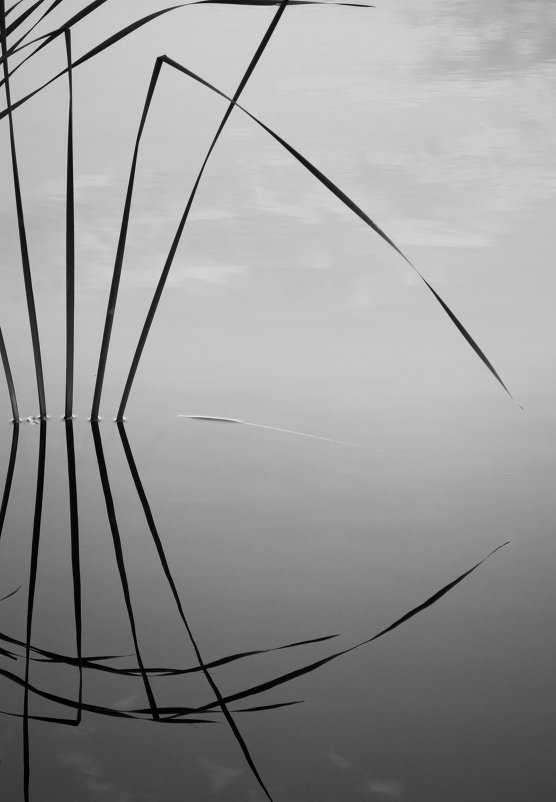 ... - Олена ... - Олена