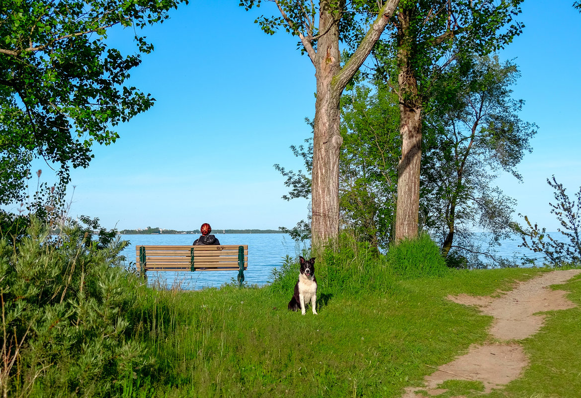 ... - Alexander Hersonski ... - Alexander Hersonski