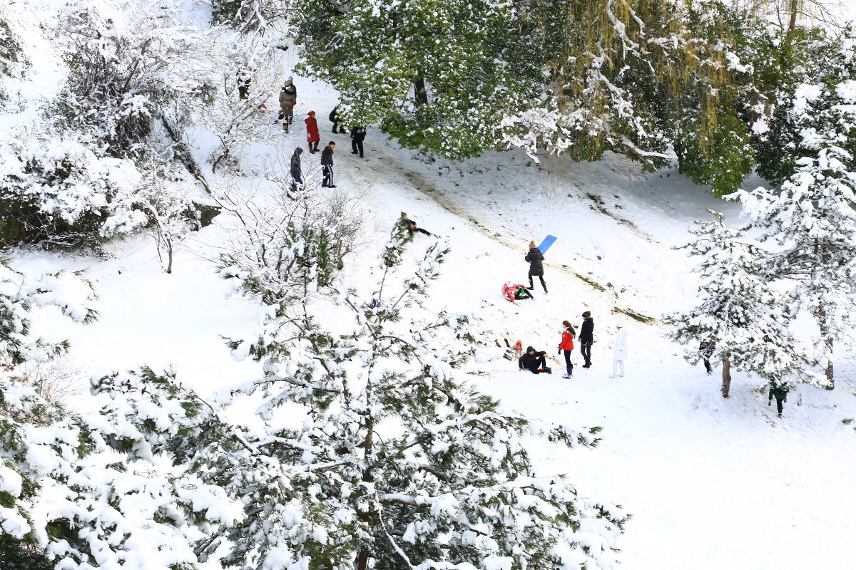 Зима в Сочи - valeriy khlopunov