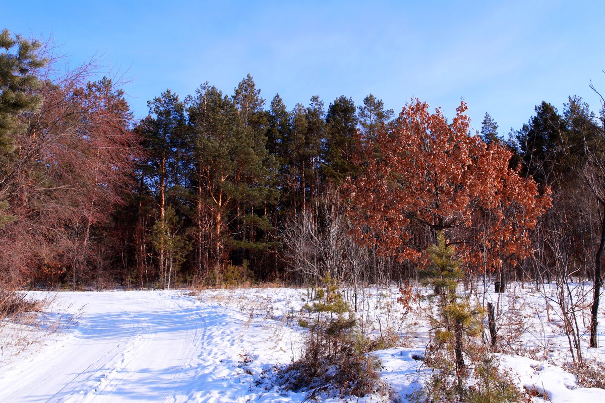 Зимняя дорога - Юрий 
