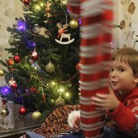 Новогодний миг :: Светлана Баталий