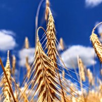 ... :: Владимир 