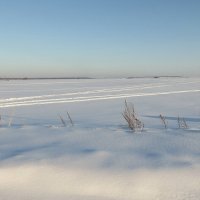 тишина :: НАТАЛЬЯ 