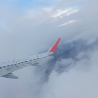 Крыло :: Юра Светлаков