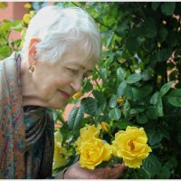 розы :: Светлана Баталий