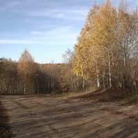 Прощальный Осени мотив :: Olga Oskolkova