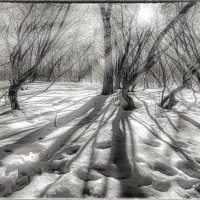 Скоро весна. :: Владимир Владимир