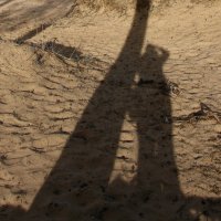Тени на песке :: Наталья Герасимова