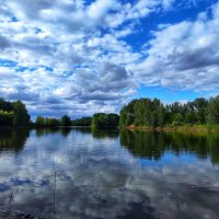 Пруд :: Ирина **