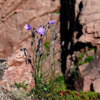 ... :: Valentin Orlov