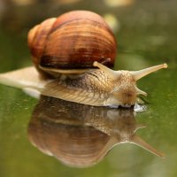 После дождичка в четверг... :: Юрий Моченов