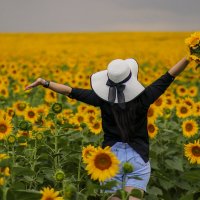 В солнышках :: Юлия Щетинина