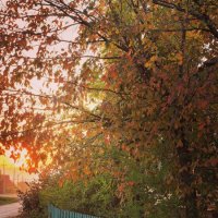 "Осенняя гармония природы" :: Анна 
