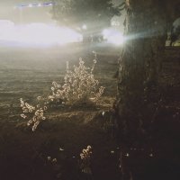 ЮГ  СИЯНИЕ :: OPEN WAYS ALL