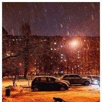 Миша. :: Валентина M