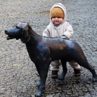 Ах, какая симпатичная собачка! :: Aida10 