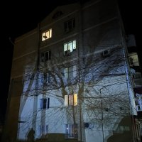 дерево :: Вероника Гергерт