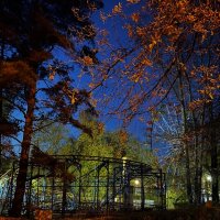 ночной парк :: Вера Солнцевна