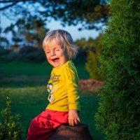 Даримирчик :: Crazy Bee