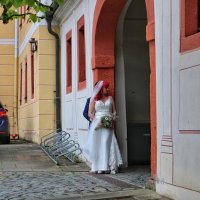 25.5.2025 :: Светлана Баталий