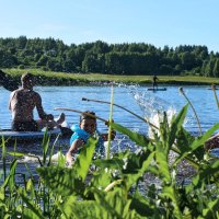 Подглядывая за летом :: Vitrevi 