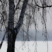 серёжки :: < А н г е л и н а >