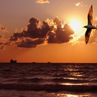 Вечерняя :: Игорь Юрьев